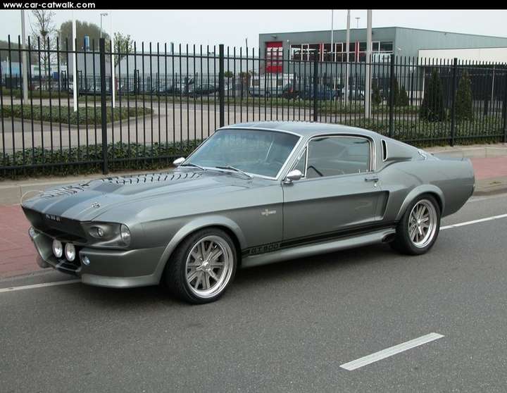 Ford_Shelby_GT_500