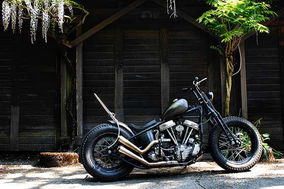 Harley-Davidson Panhead #8649473