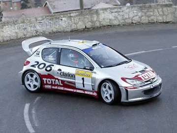 Peugeot 206 WRC #9480513
