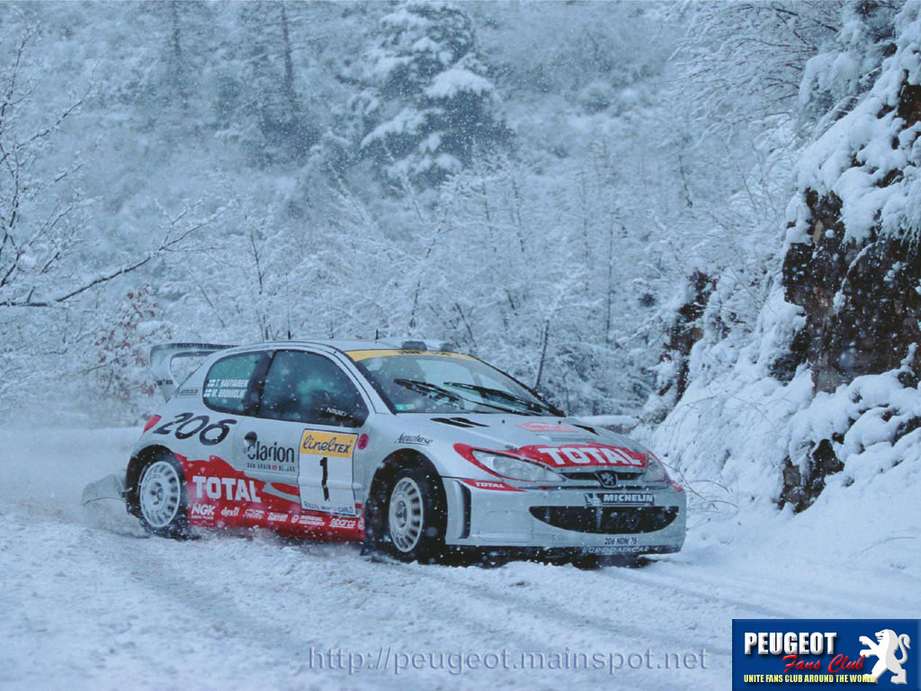 Peugeot 206 WRC #9263958