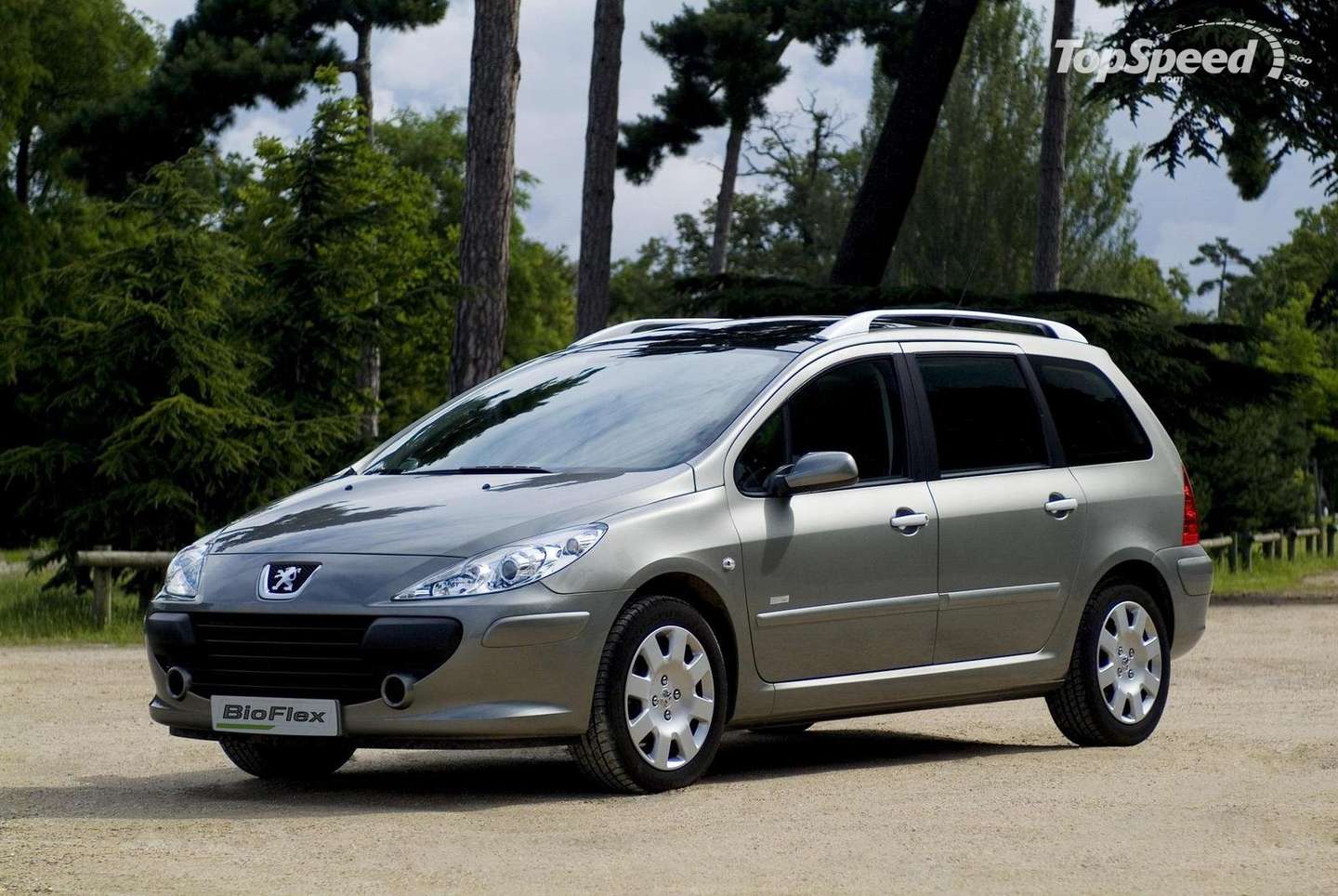 Peugeot_307_SW