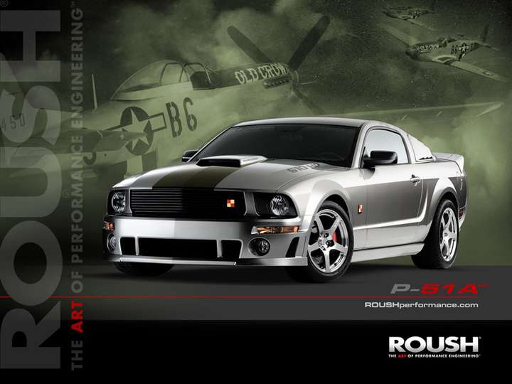 Roush Mustang #7556865