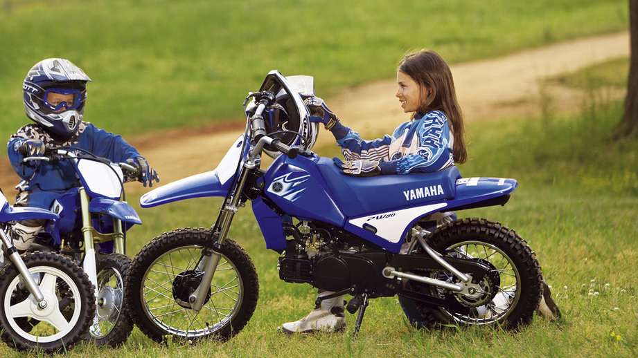 Yamaha PW 80 #7743554