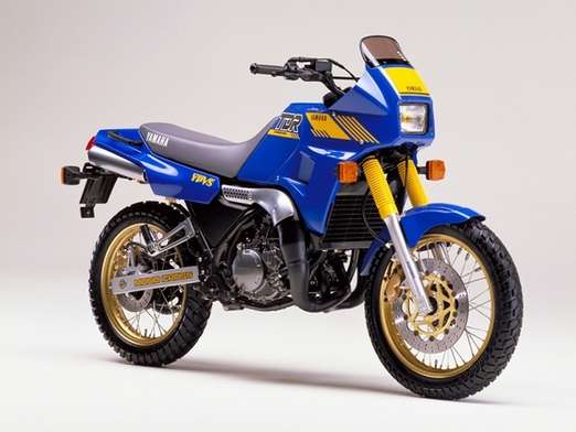 Yamaha TDR 250 #9618208