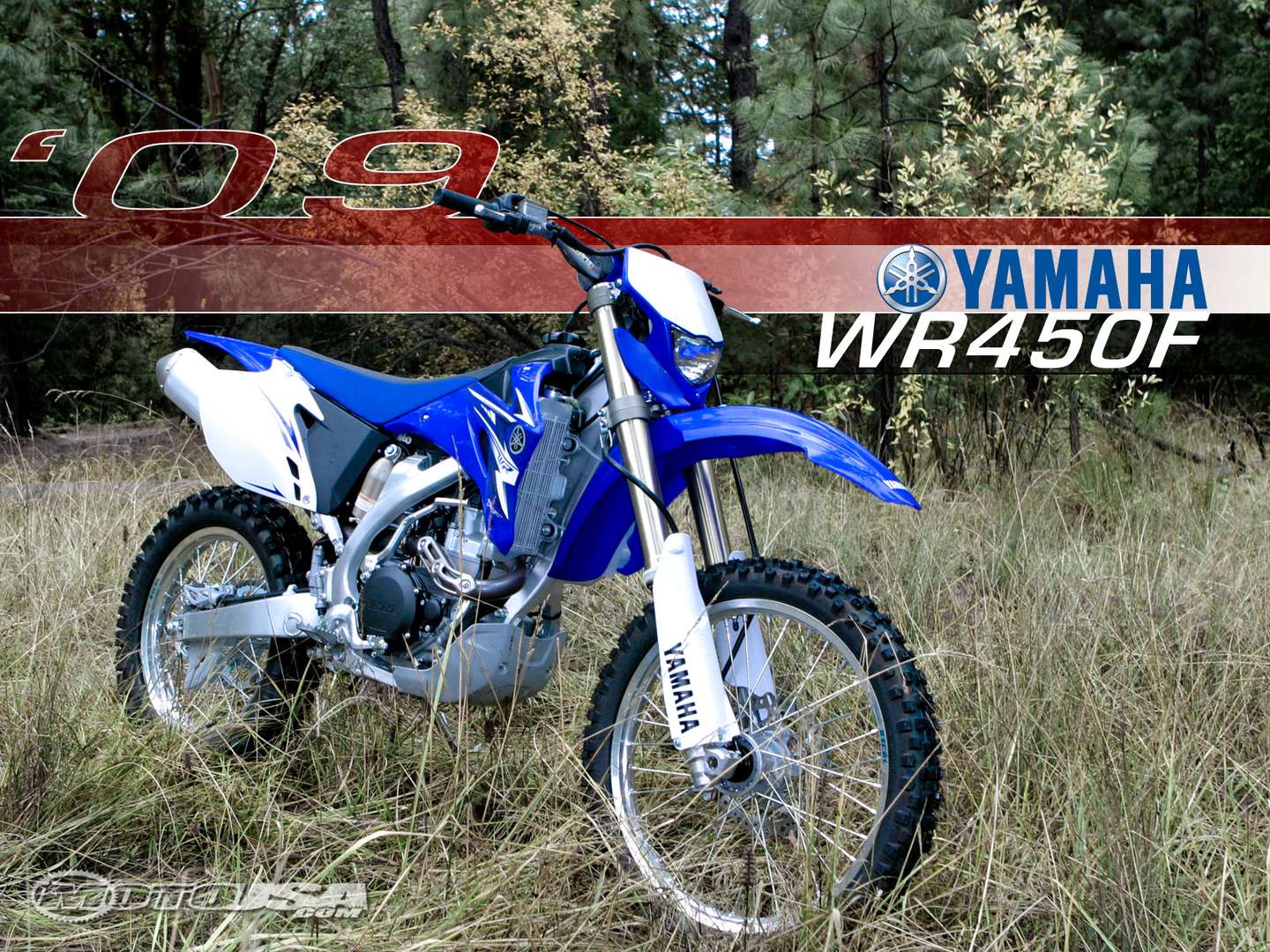 Yamaha WR 450 #9573888