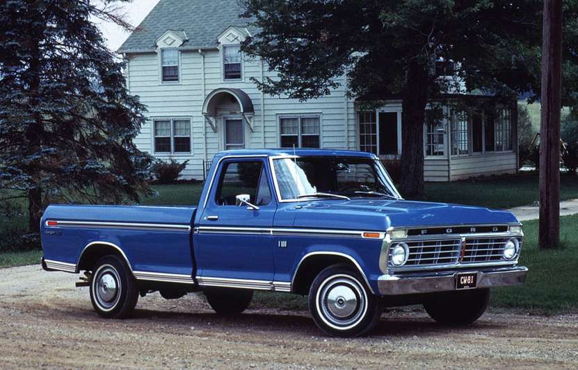 Ford F100 #9522099