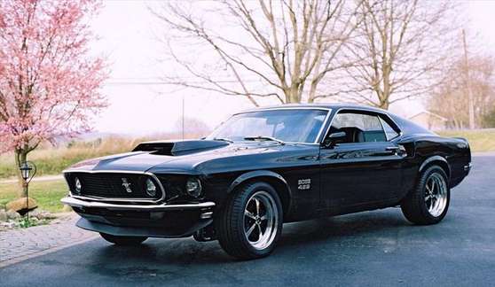 Ford Mustang Boss 429 #8445494