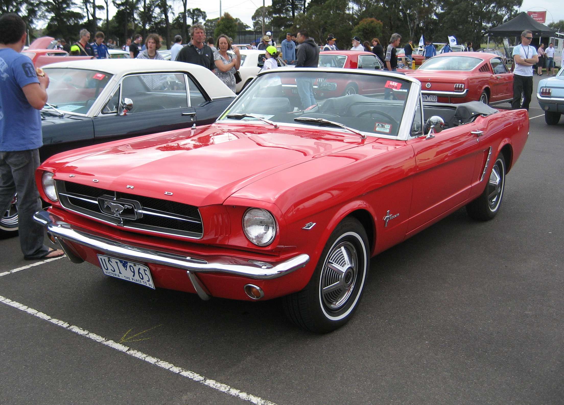 Ford Mustang Cabrio #9977189