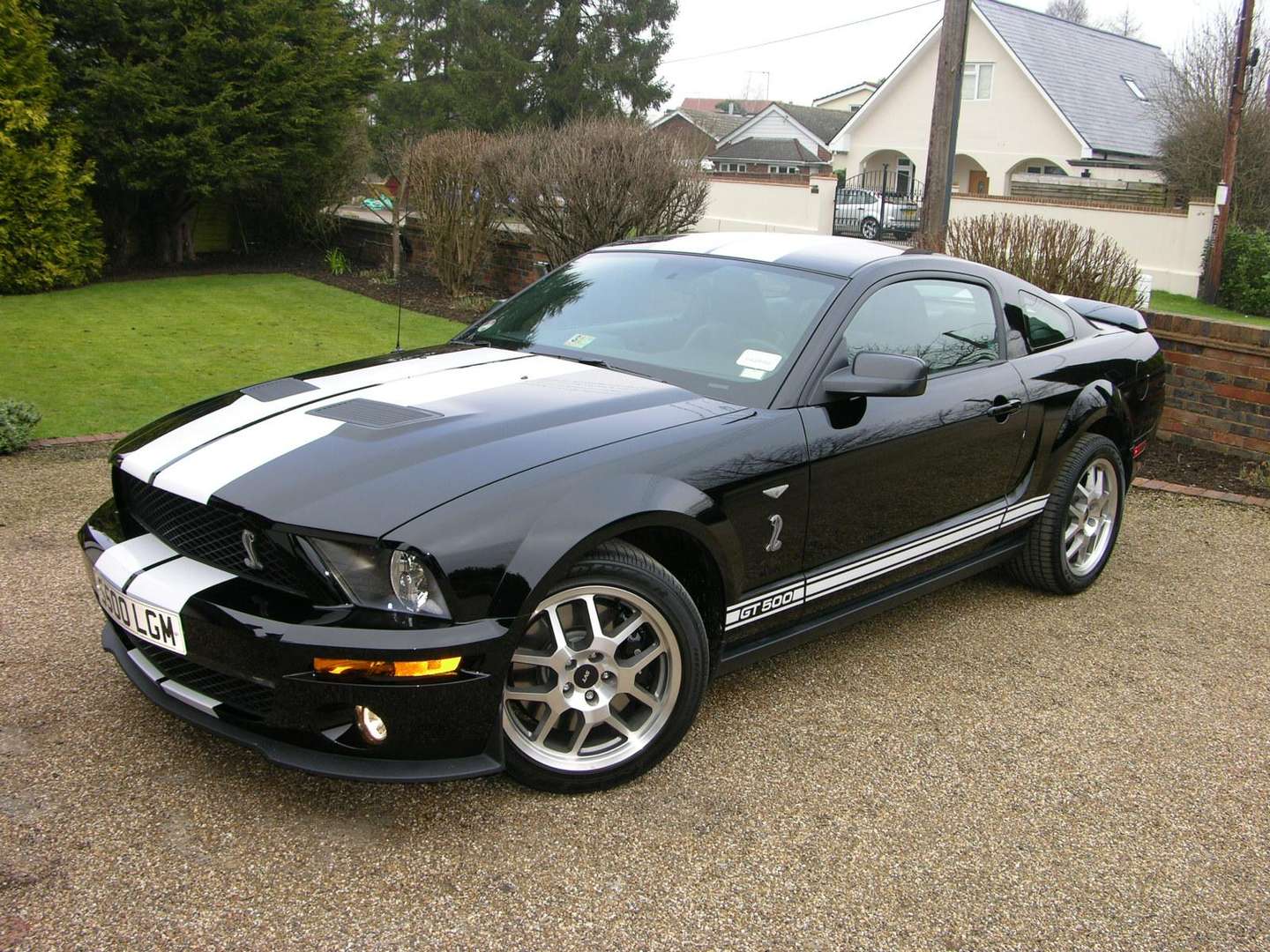 Ford Mustang Shelby GT 500 #7550781