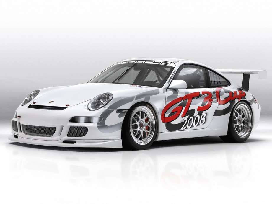 Porsche 911 #9659242