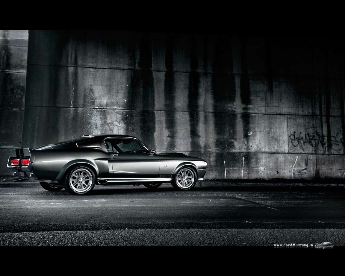Shelby GT 500 #7663549