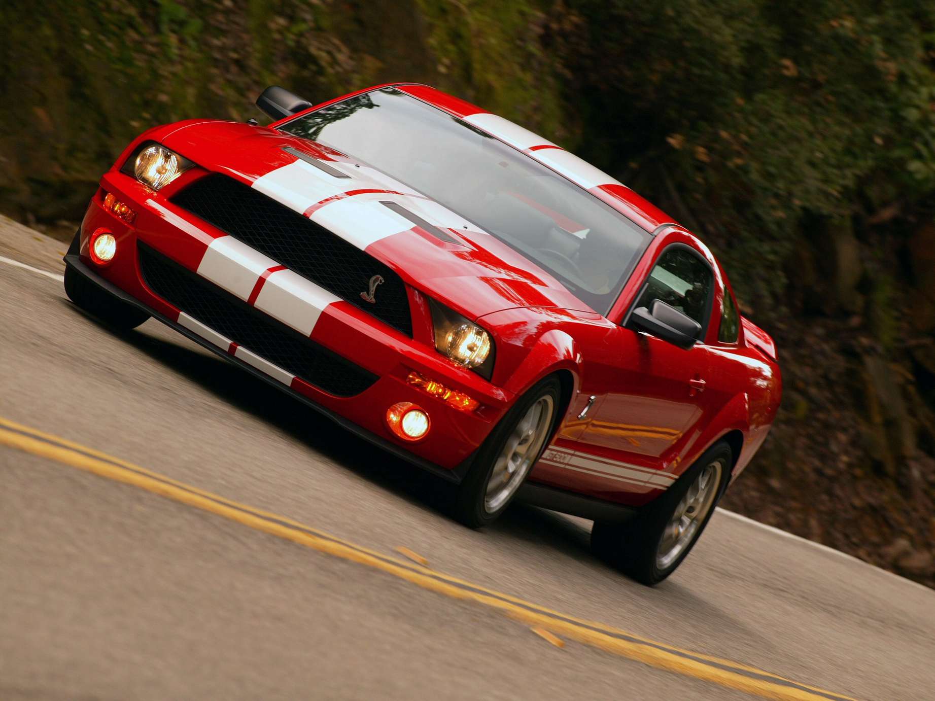 Shelby GT500 #8808346