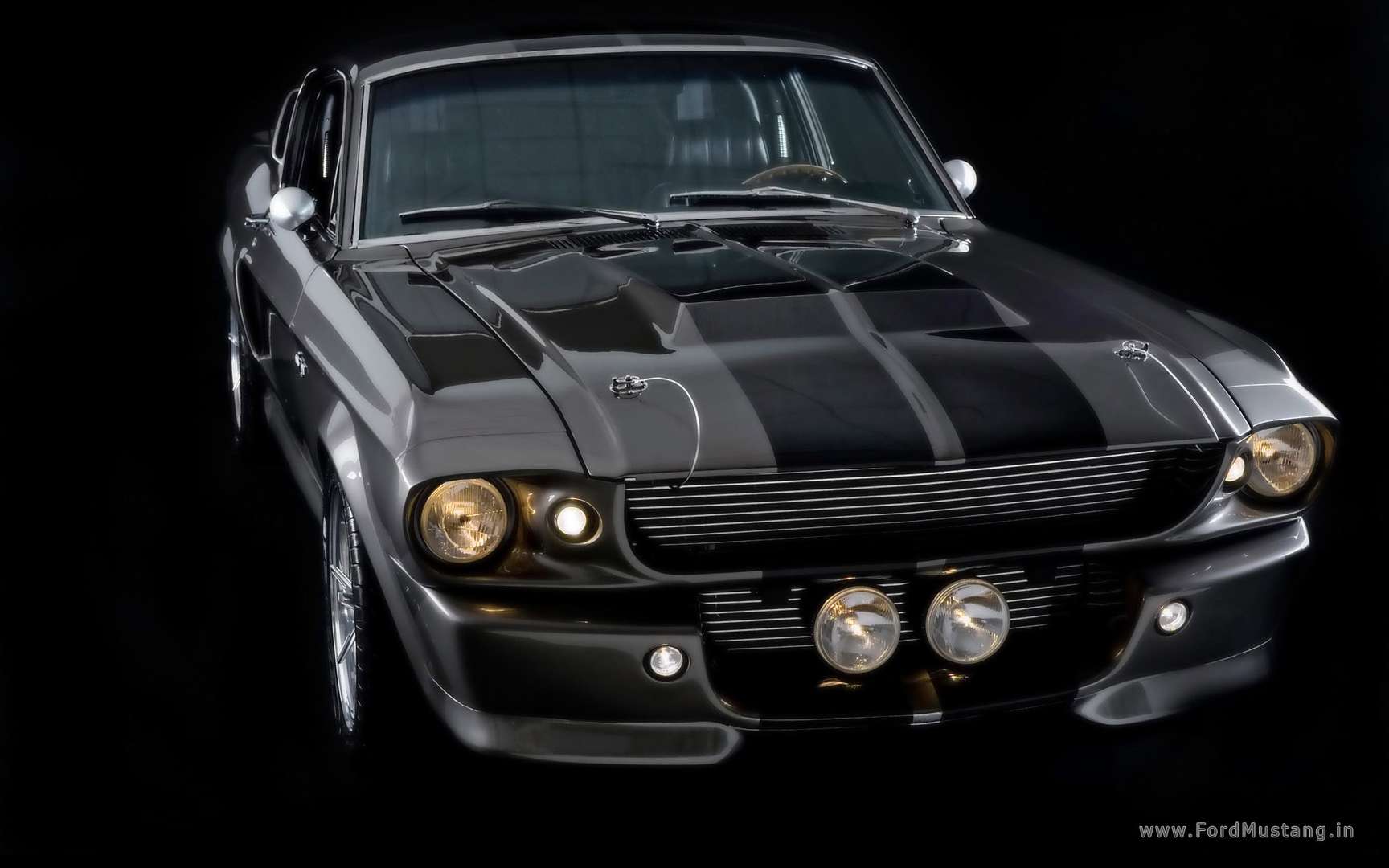 Shelby Mustang #7743921