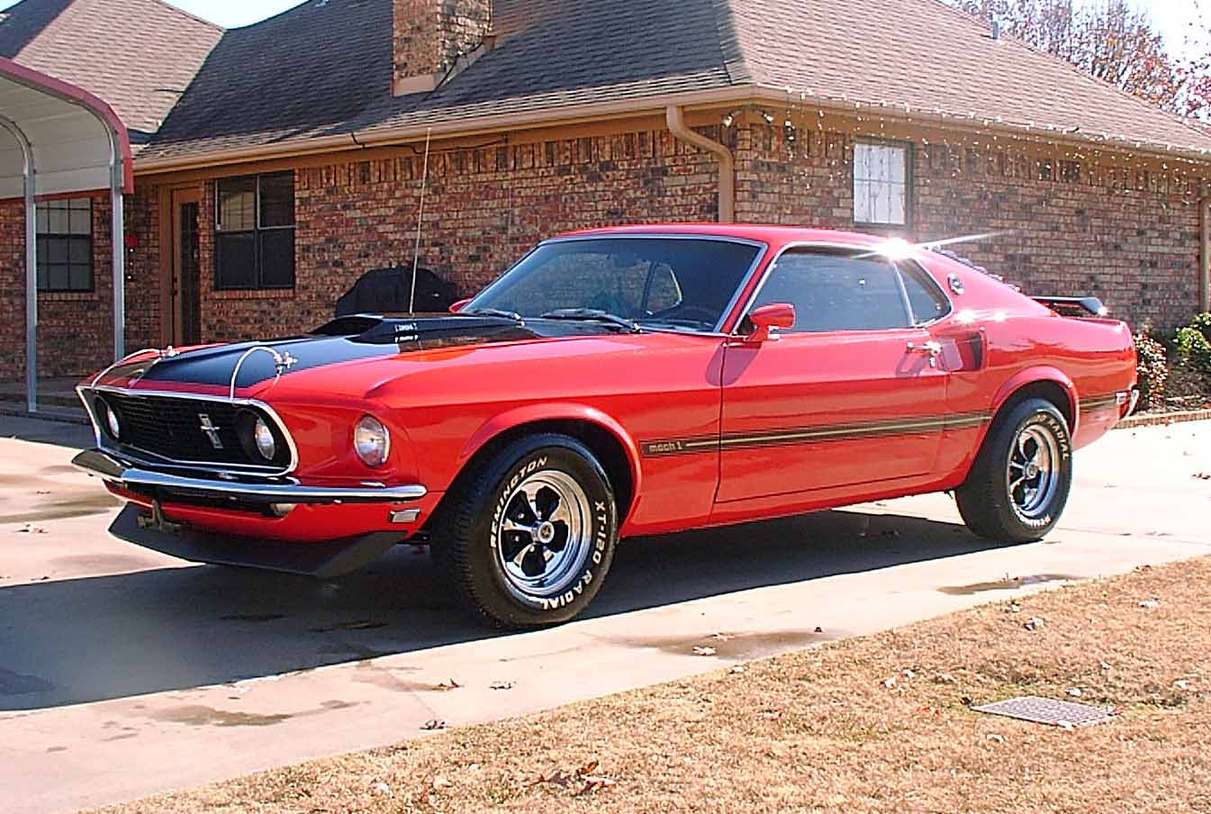 Ford Mustang Mach 1 #7980878