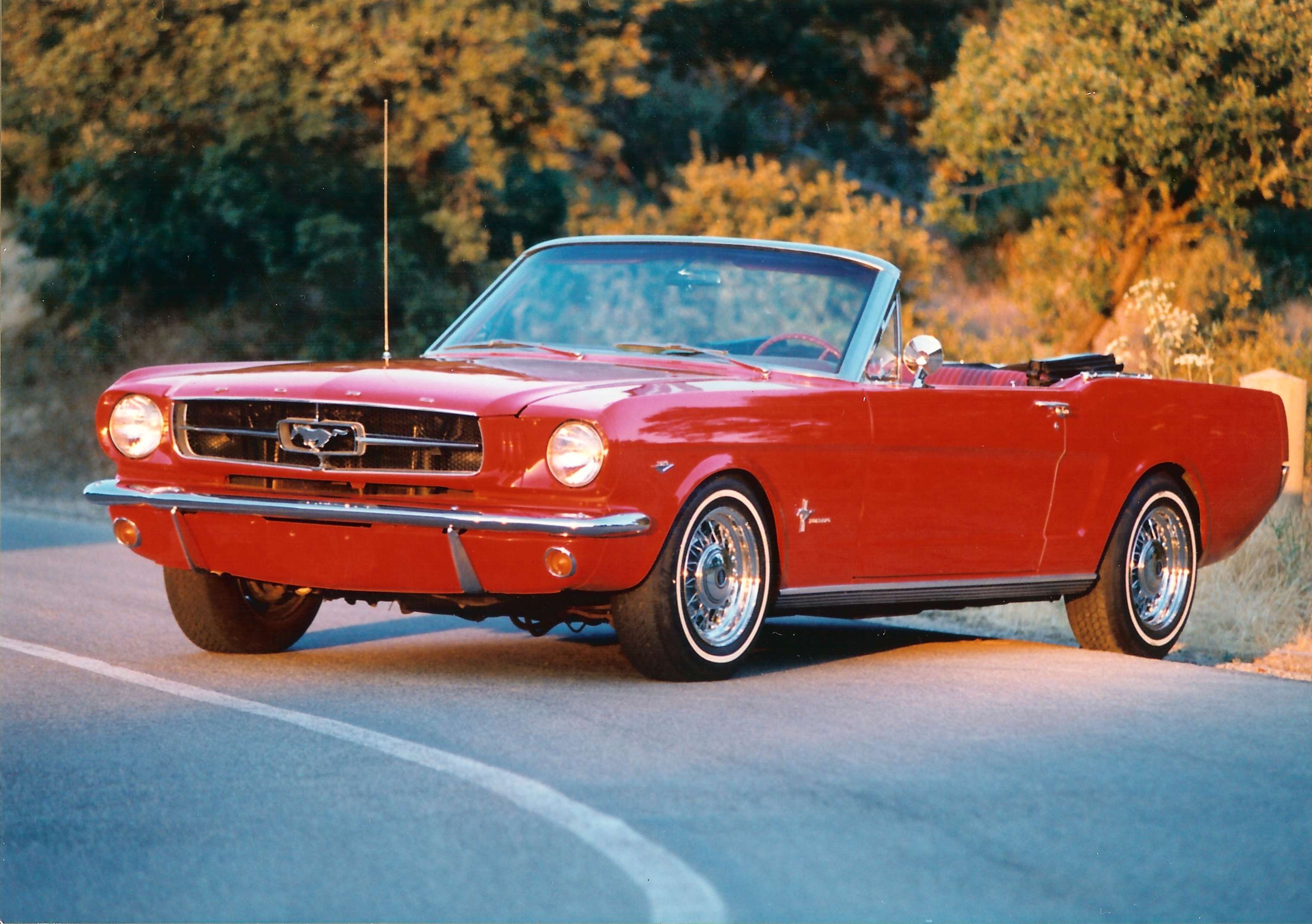 Ford Mustang Cabrio #8631009