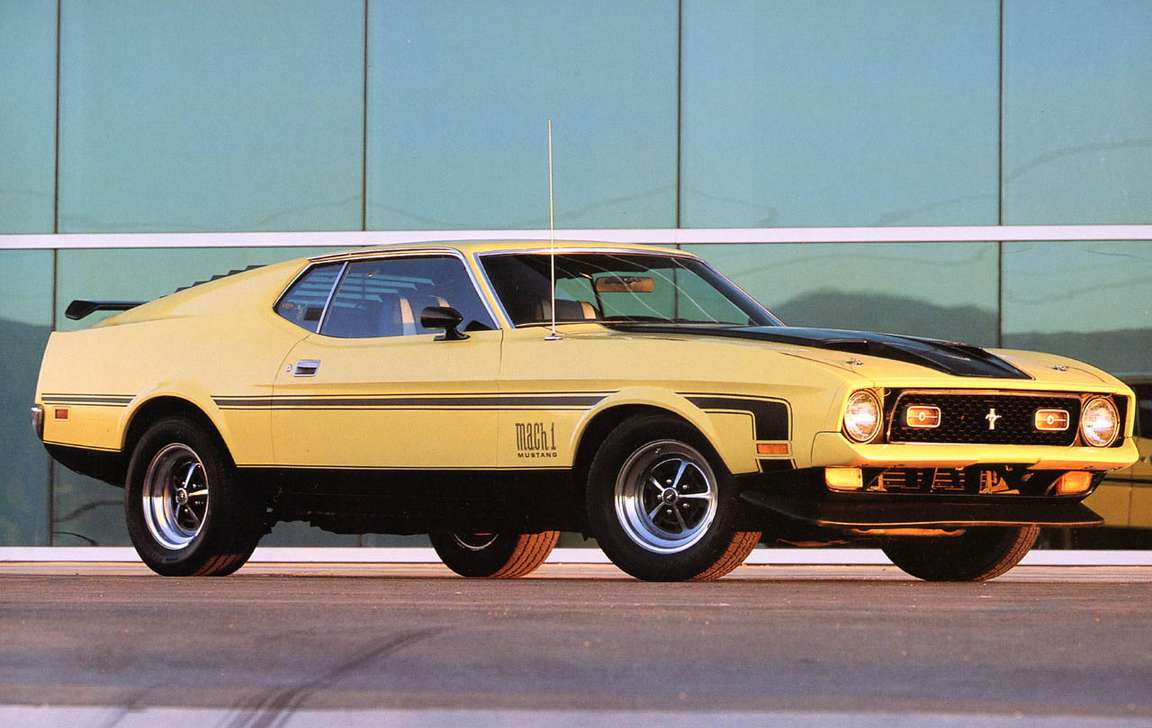 Ford Mustang Mach 1 #8146160
