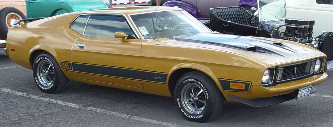 Ford Mustang Mach 1 #9938986