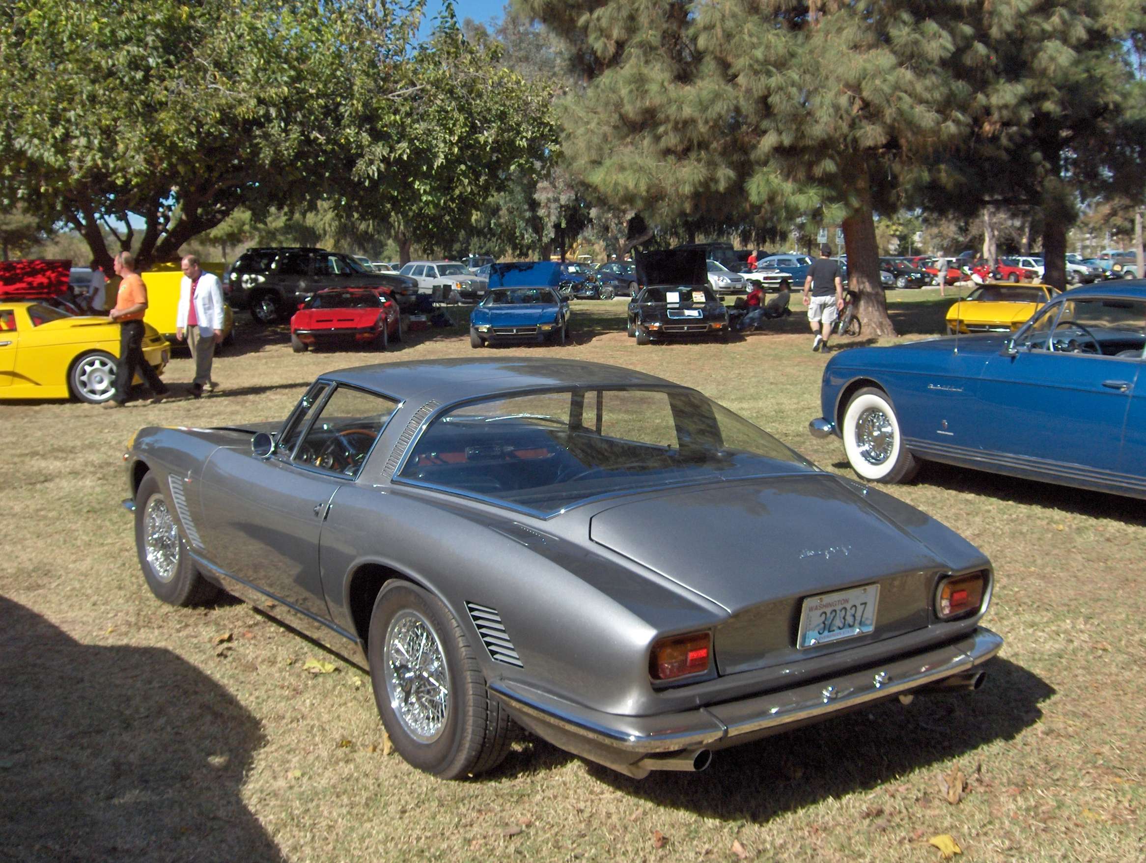 Iso_Grifo