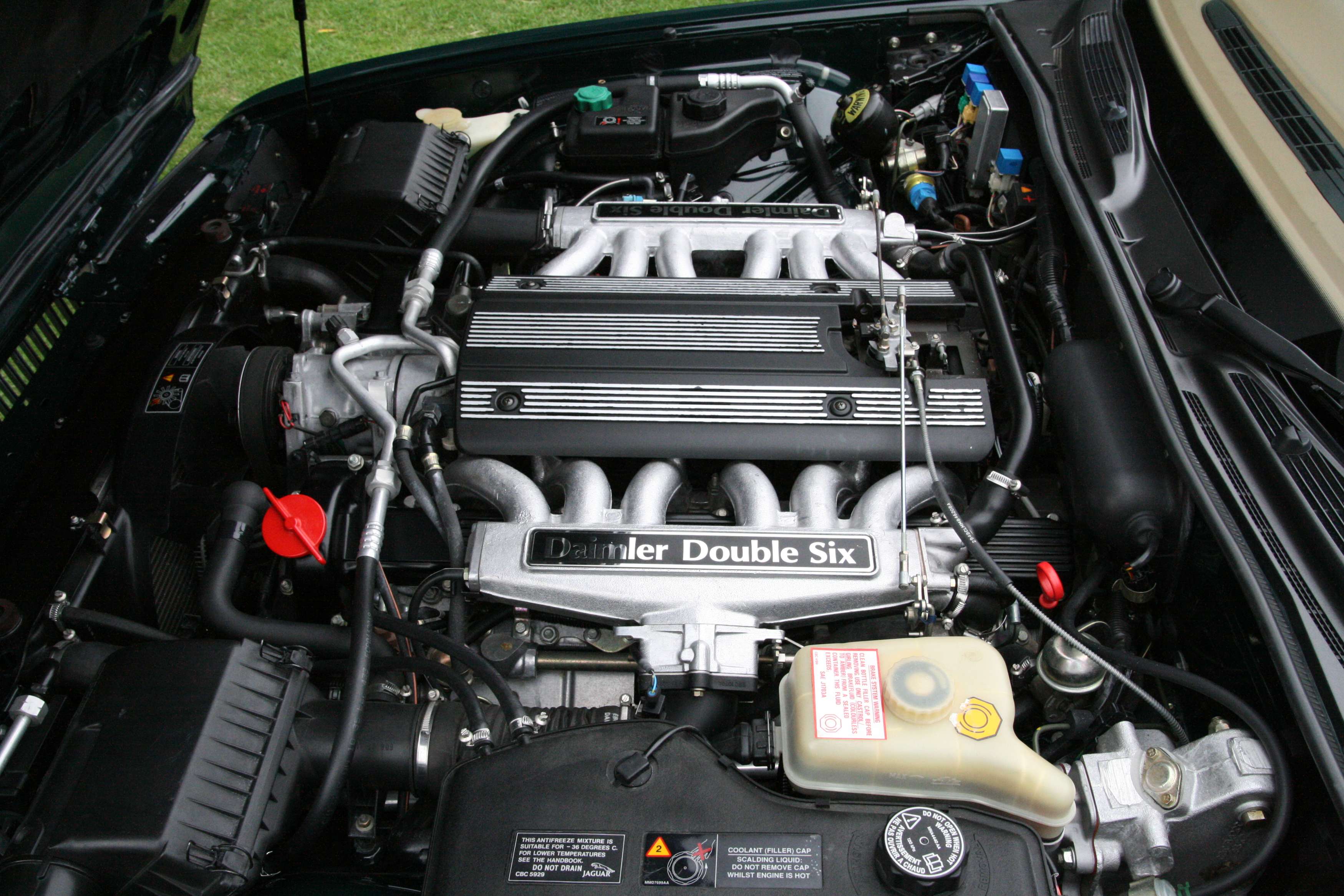 Jaguar Daimler #7276495