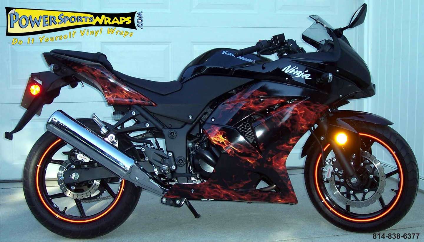 Kawasaki Ninja 250 #8950958