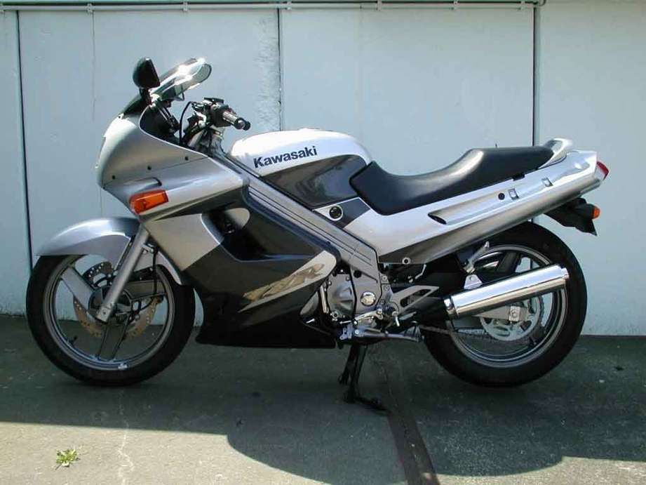 Kawasaki ZZR 250 #9463301