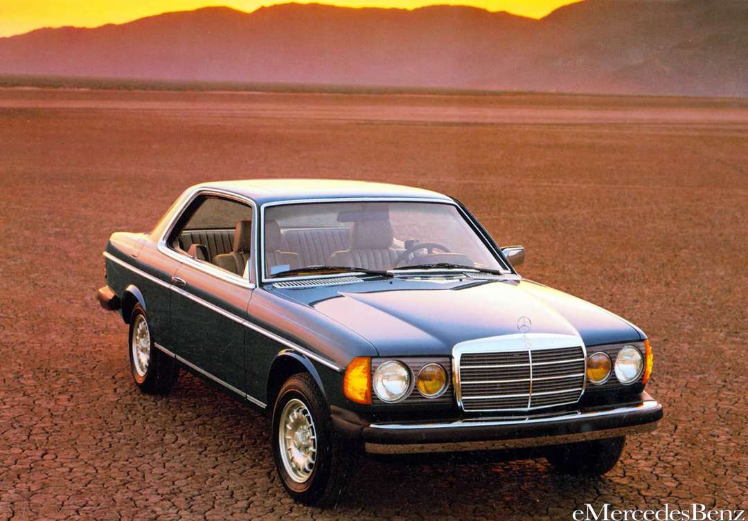 Mercedes-Benz W123 #9638350