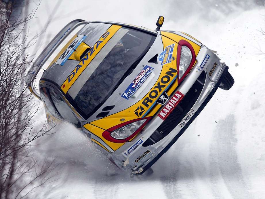 Peugeot 206 WRC #8566980