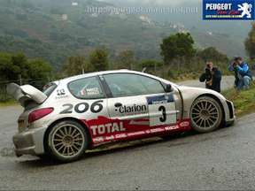 Peugeot 206 WRC #9502132