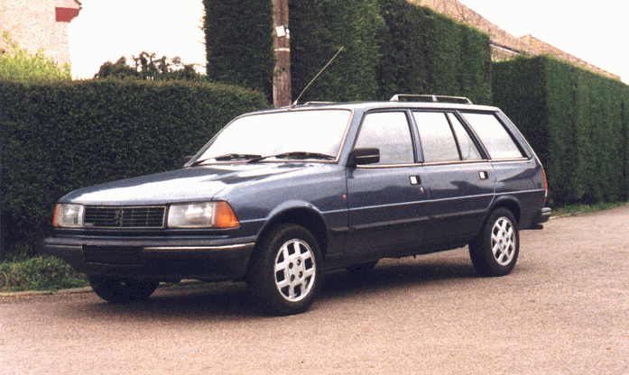 Peugeot 305 #8910386