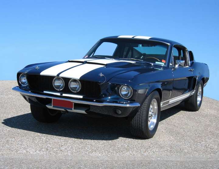 Shelby GT350 #8481170