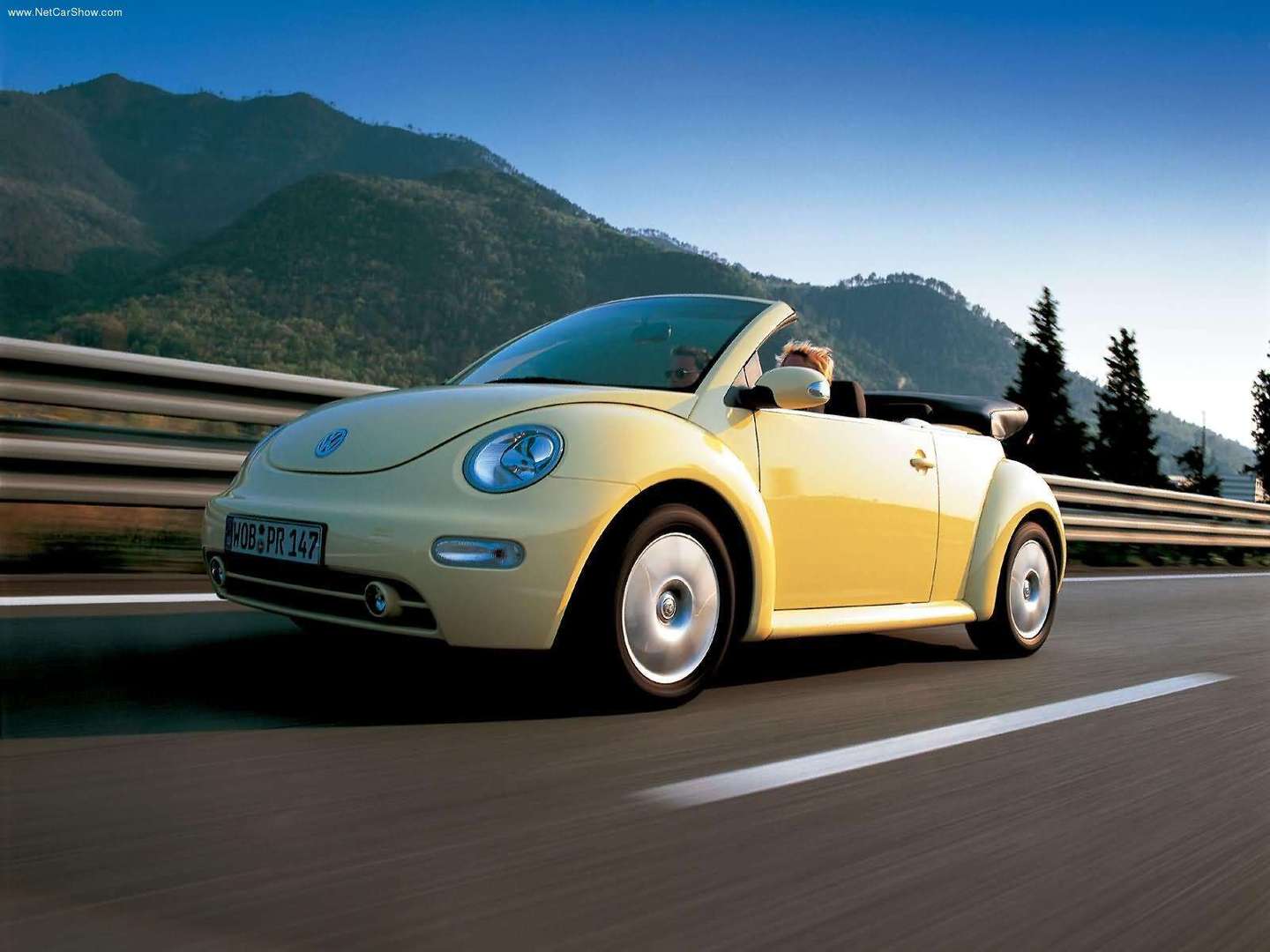 Volkswagen New Beetle #8800745