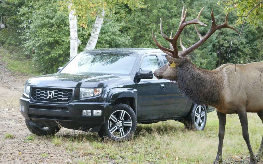 Honda Ridgeline will renew its next two years picture #2