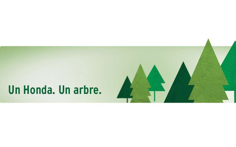"A Honda. A tree. "Canadian countryside planting 18,000 trees picture #1