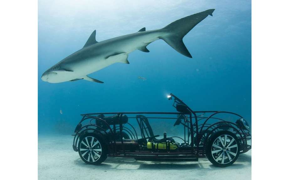 Volkswagen Beetle Convertible to protect sharks