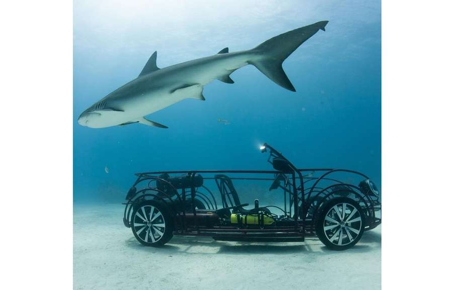 Volkswagen Beetle Convertible to protect sharks picture #4