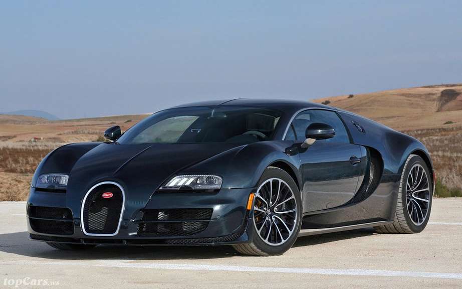 Bugatti Veyron bear waste picture #4