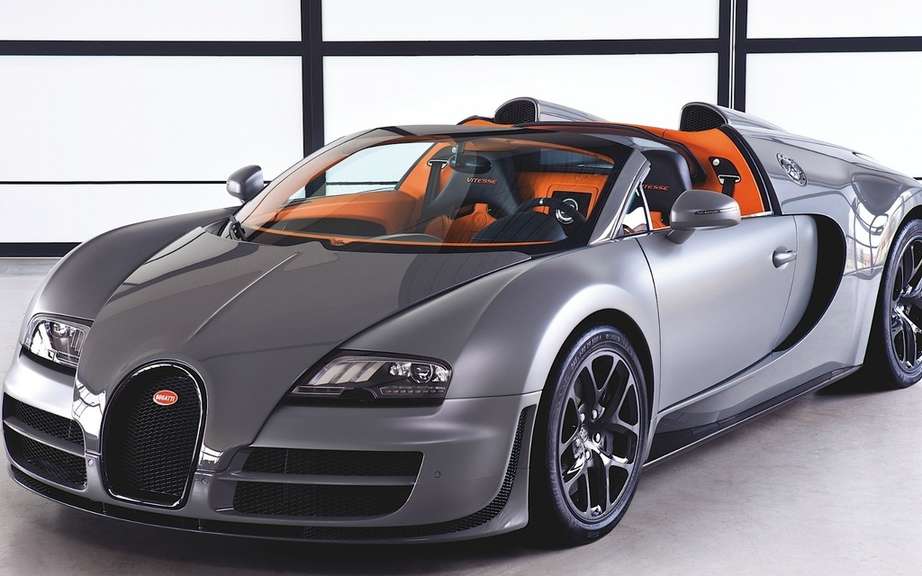 Bugatti Veyron bear waste picture #5