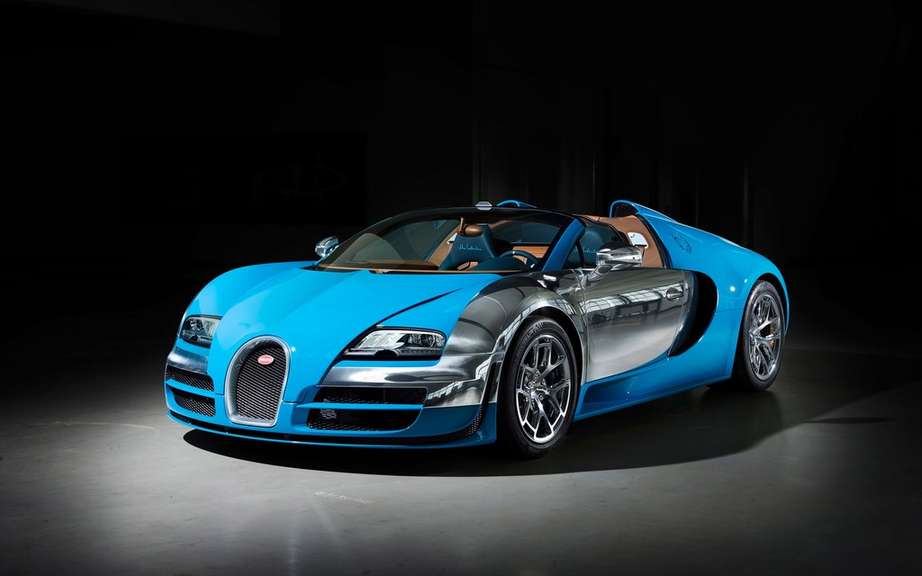 Bugatti Veyron bear waste picture #6