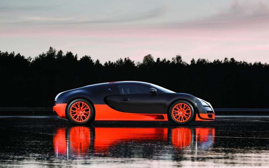 Bugatti Veyron bear waste picture #7