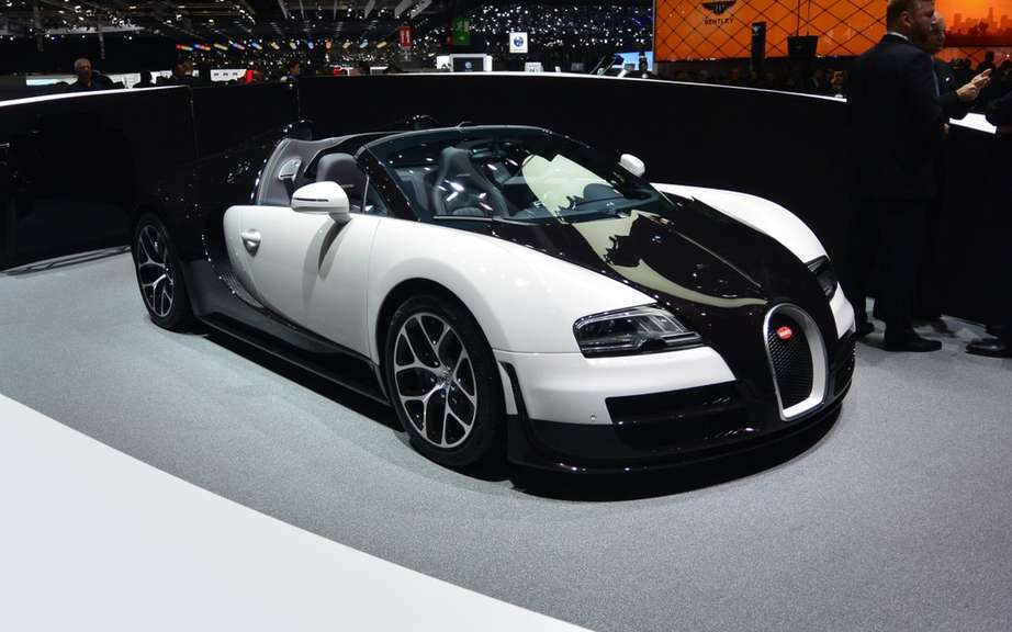 Bugatti Veyron bear waste picture #8