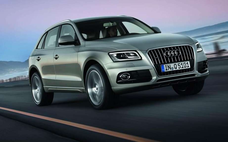 Audi Q5 2013 or Charlie? picture #1