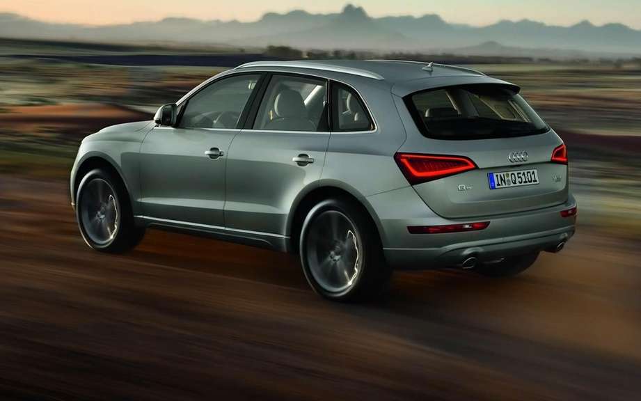 Audi Q5 2013 or Charlie? picture #2
