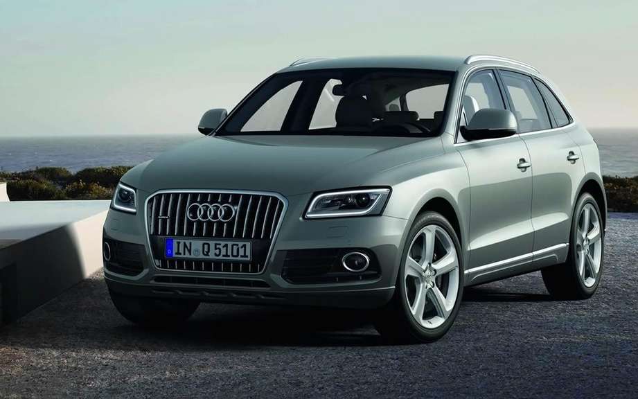 Audi Q5 2013 or Charlie? picture #3