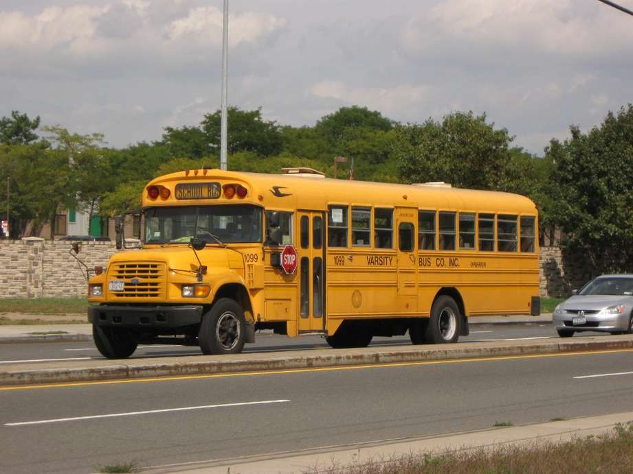 Blue Bird Bus #8976140