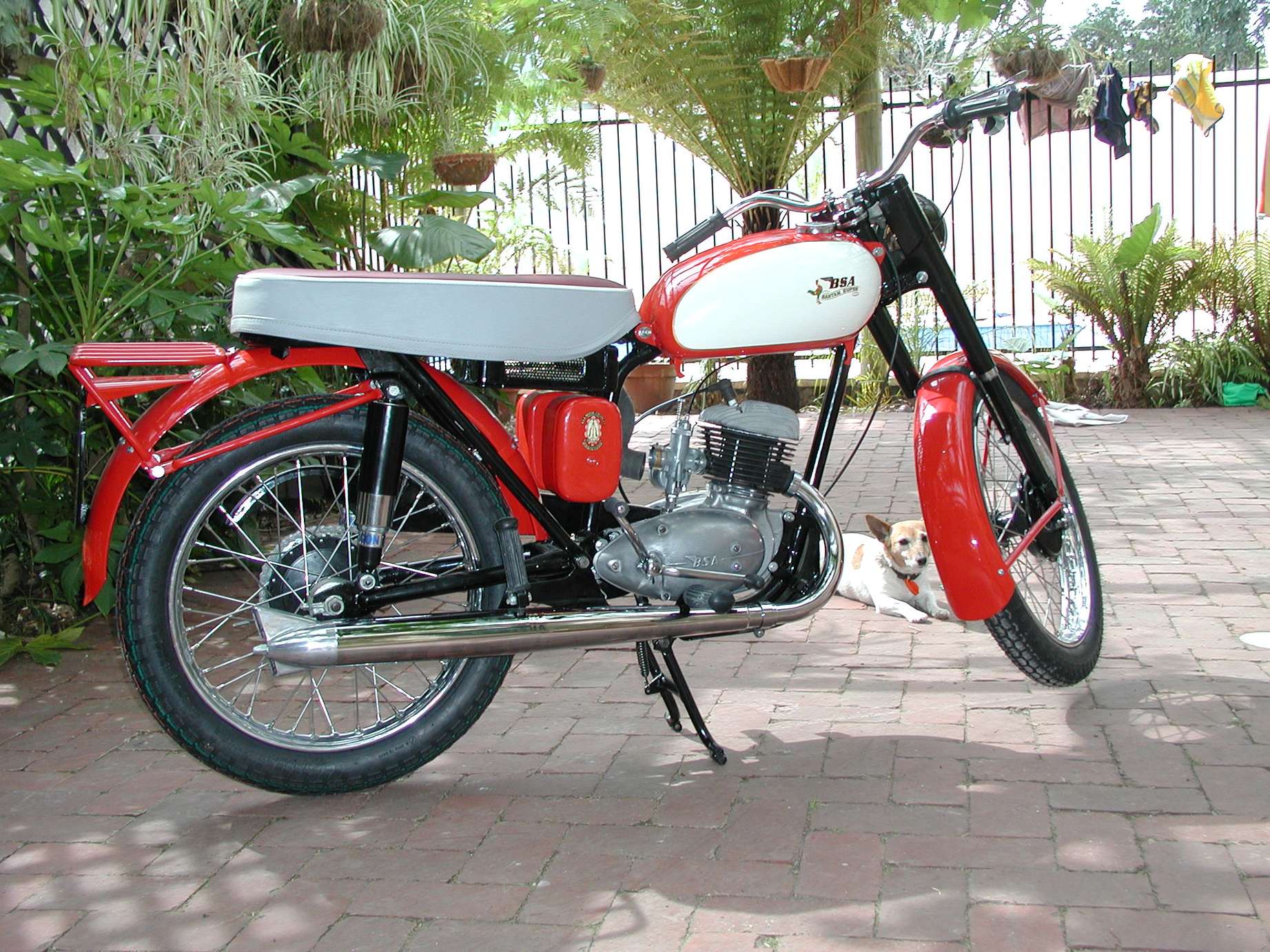 BSA Bantam #7050850