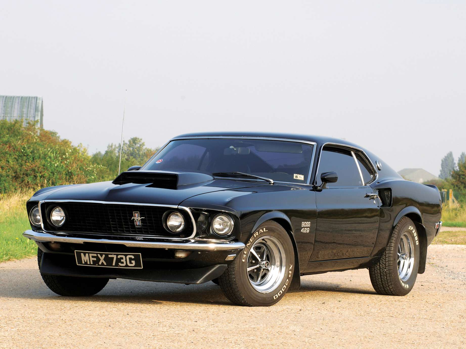 Ford Mustang Boss 429 #8233272