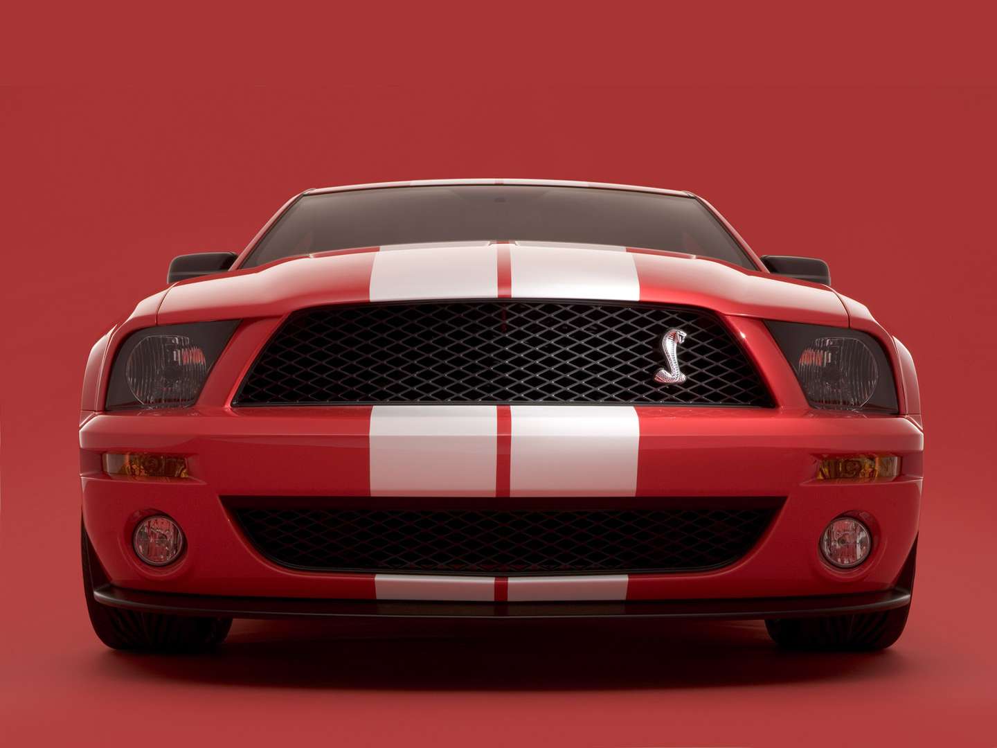 Ford Mustang Cobra #8247267
