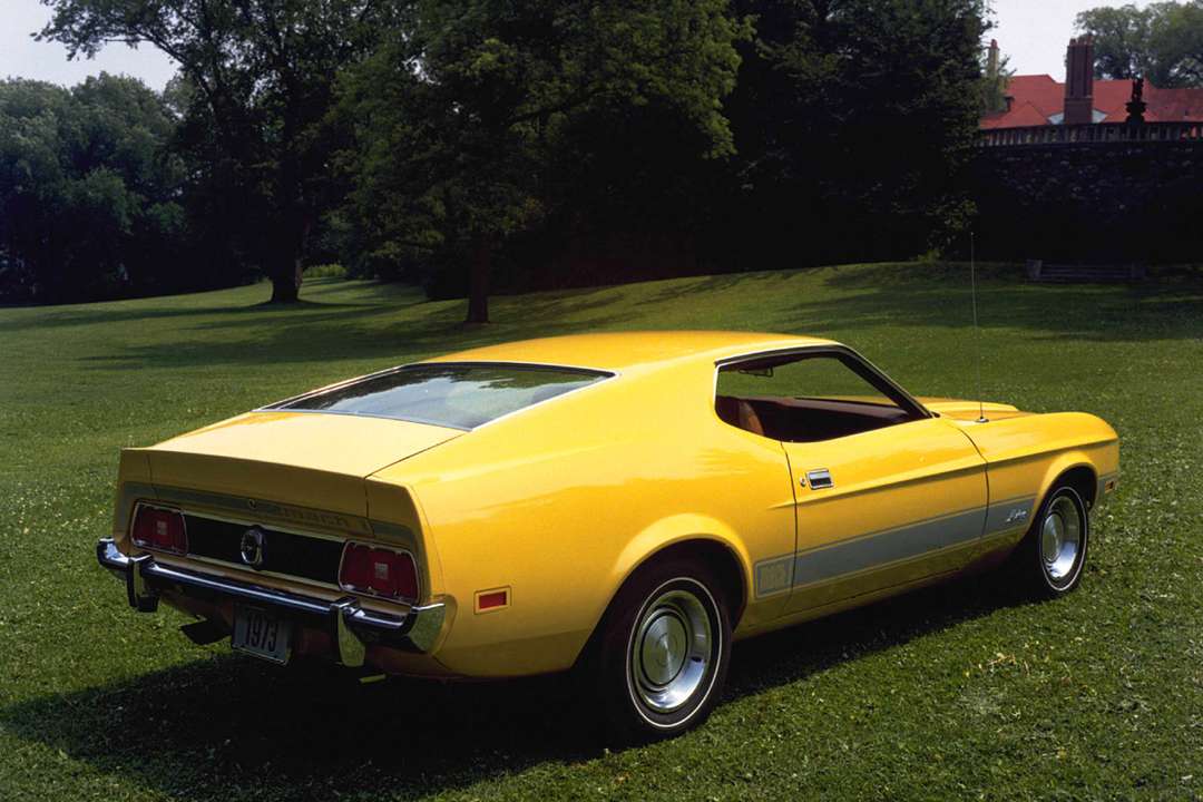 Ford Mustang Mach 1 #7582768