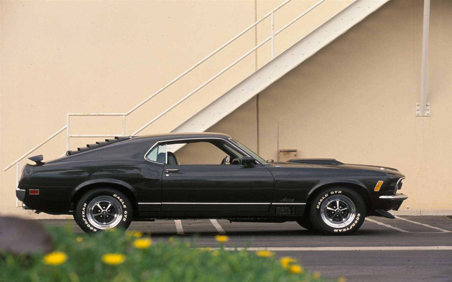 Ford Mustang Mach 1 #7372092