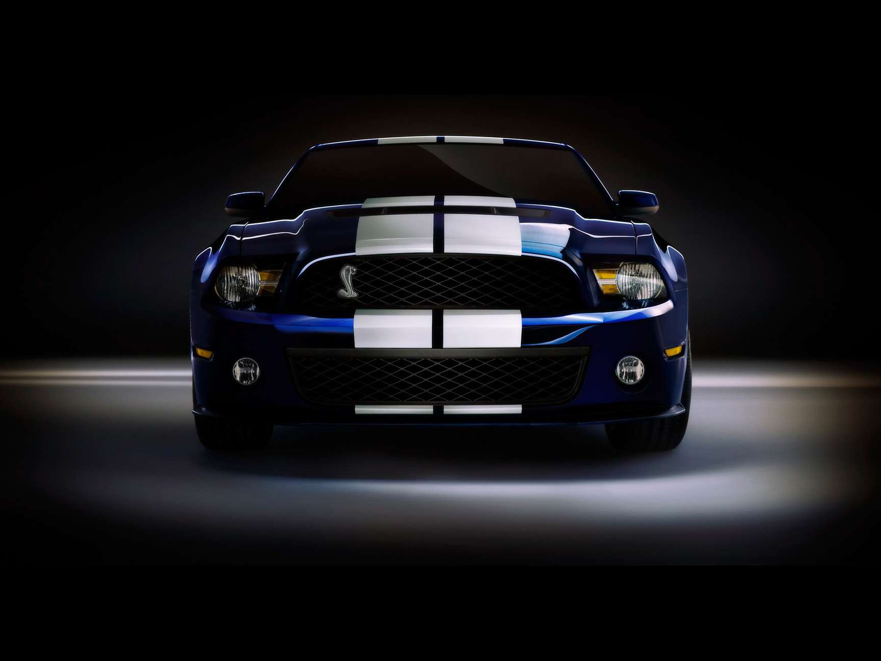 Ford Shelby GT 500 #7820369